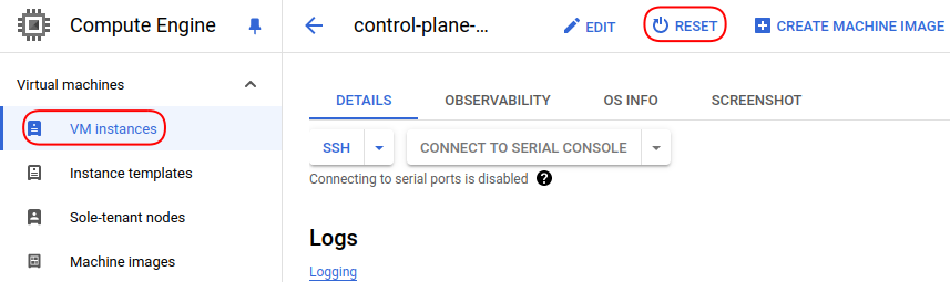 Update control plane instance installed on GCP VM Instance
